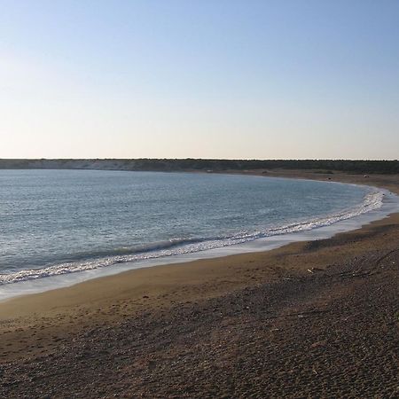 Paphos Love Nest Apartment חדר תמונה